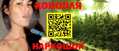 крисы Комсомольск-на-Амуре